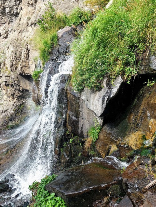 A small waterfall cascades over rocky terrain, surrounded by lush green grass and plants.
