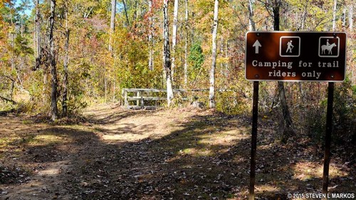 A sign indicating "Camping for trail riders only" at a wooded path with autumn foliage.