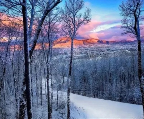 A serene winter landscape with snow-covered trees and mountains under a colorful sunset sky.