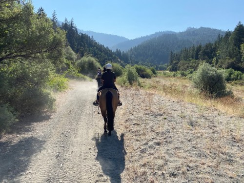 Two riders on horseback travel along a dusty trail through a forested valley with mountains in the background.