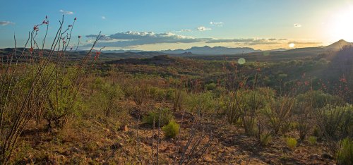 A scenic desert landscape at sunset, featuring sparse vegetation and distant mountains under a colorful sky.