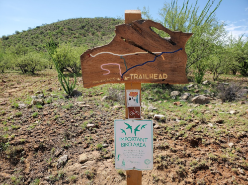 A wooden trailhead sign with a map and bird area information, set in a desert landscape with sparse vegetation.