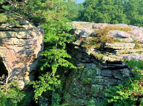 A rocky outcrop surrounded by lush green trees and foliage under bright sunlight.
