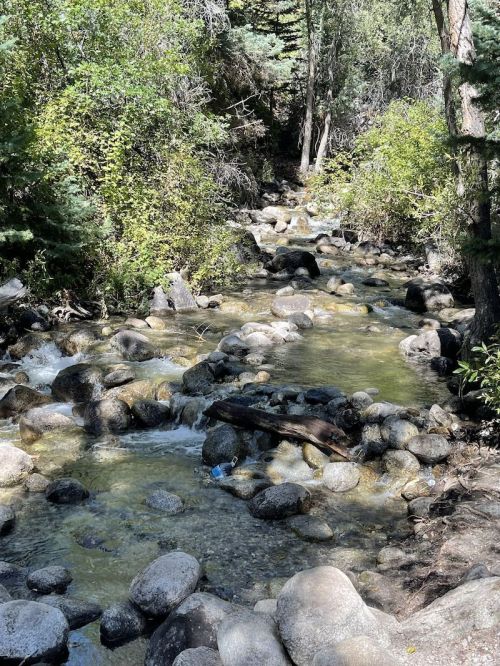A serene stream flows over smooth rocks, surrounded by lush greenery and trees in a peaceful natural setting.