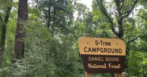 Sign for S-Tree Campground in Daniel Boone National Forest, surrounded by lush green trees.