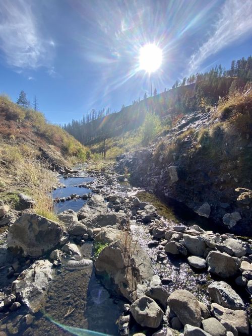 A sunlit landscape featuring a rocky stream surrounded by trees and hills under a clear blue sky.