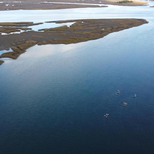 Aerial view of kayakers paddling through calm waters with marshland and a sandy shore in the background.