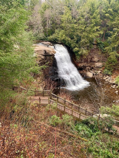 A serene waterfall cascades into a pool, surrounded by lush greenery and a wooden walkway.