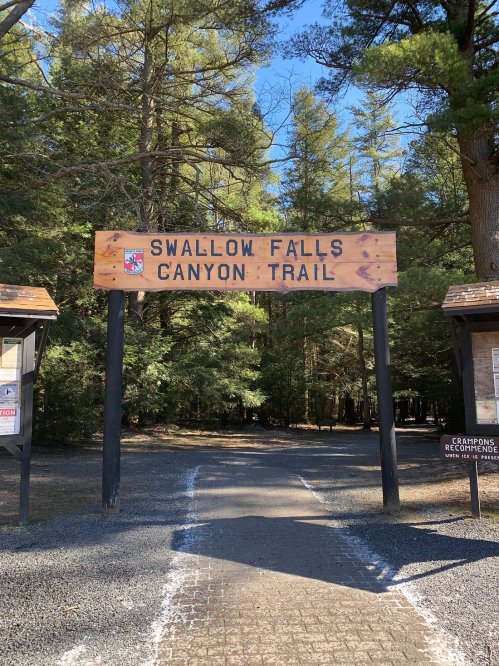 Sign for Swallow Falls Canyon Trail, surrounded by trees, marking the entrance to the trail.