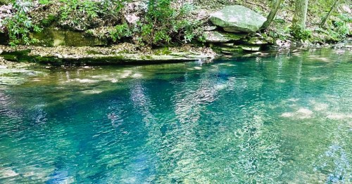 A serene view of a clear blue stream, Blue Hole, a swimming hole in PA, surrounded by lush green vegetation and rocky banks.