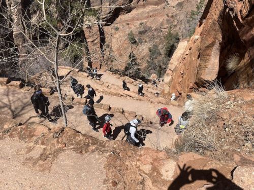 Hikers ascend a steep, rocky trail surrounded by red cliffs and sparse vegetation on a sunny day.