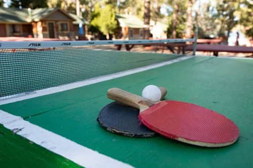 Two table tennis paddles, one red and one black, with a white ball resting on a green table near a net.