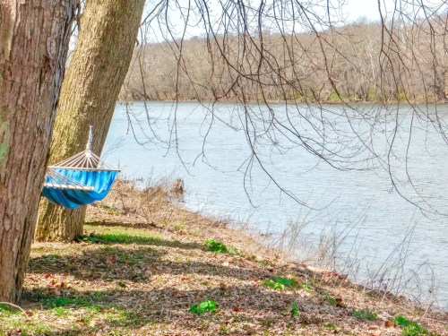 A blue hammock hangs between two trees by a calm river, surrounded by bare branches and early spring foliage.