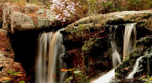 A serene waterfall cascades over rocks, surrounded by greenery and blooming flowers.
