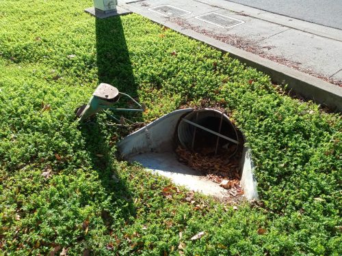 A partially covered drainage pipe surrounded by green grass and fallen leaves, with a small metal object nearby.