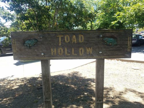 Wooden sign reading "Toad Hollow" with decorative frogs, surrounded by trees and parked cars in the background.