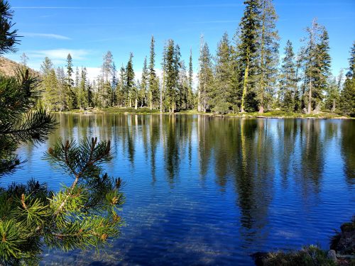 A serene lake surrounded by tall trees, reflecting the blue sky and greenery on its calm surface.