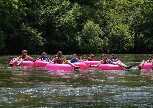 A group of people floating on pink inner tubes in a river, surrounded by lush green trees.