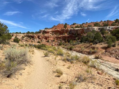 A sandy trail winds through a desert landscape with red rock formations and sparse vegetation under a blue sky.