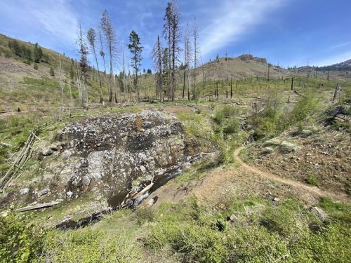 A rocky area with a small stream, surrounded by green vegetation and trees on a hillside under a blue sky.