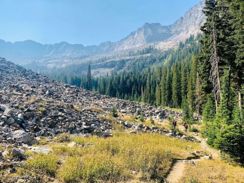 A scenic mountain landscape with hikers on a trail, surrounded by rocky terrain and dense evergreen trees.