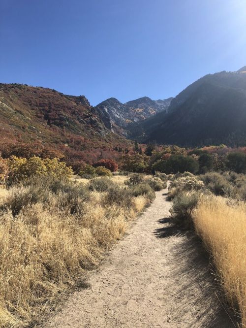 A dirt path winds through golden grasses and shrubs, leading to mountains with autumn foliage under a clear blue sky.