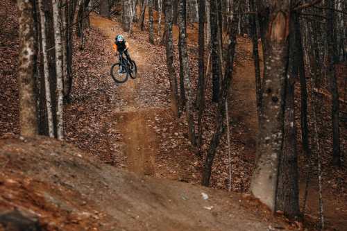 A mountain biker performs a jump on a dirt trail surrounded by trees in a forested area.