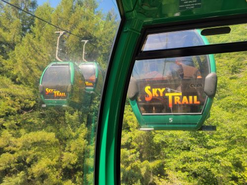 Two green gondolas labeled "Sky Trail" are seen from inside one, surrounded by lush green trees.