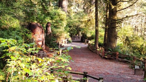 A forest path lined with trees and a carved wooden face, surrounded by lush greenery.