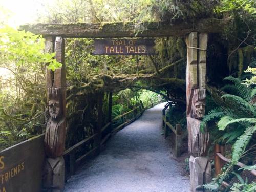 Wooden archway reading "Trail of Tall Tales" leads into a lush, green forest path surrounded by ferns and moss.