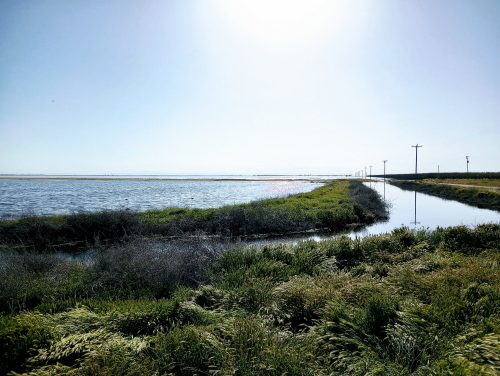 A serene landscape featuring a calm waterway bordered by lush greenery under a bright blue sky.
