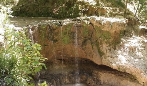 A serene waterfall cascading over a rocky ledge into a small pool, surrounded by lush greenery.