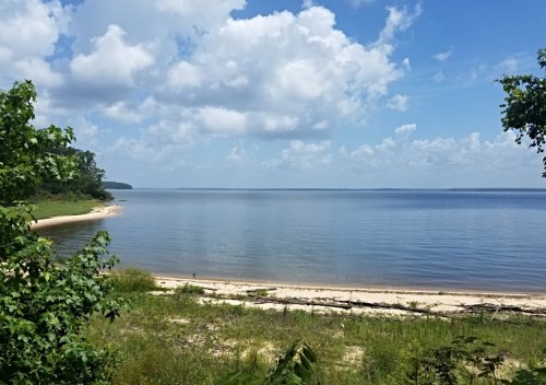 A serene lakeside view with a sandy shore, lush greenery, and fluffy clouds in a blue sky.