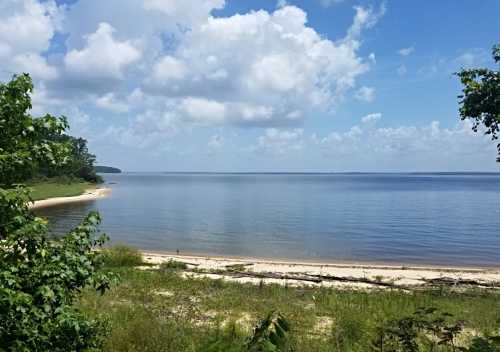 A serene lakeside view with a sandy shore, lush greenery, and fluffy clouds in a blue sky.