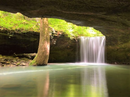 A serene waterfall cascades into a tranquil pool, surrounded by lush greenery and a rocky overhang.