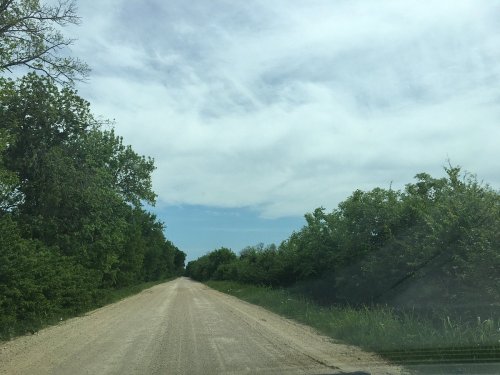 A dirt road stretches ahead, flanked by green trees and shrubs under a cloudy sky.