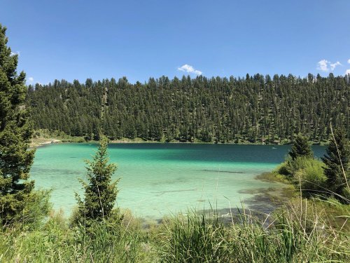 A serene lake surrounded by lush green trees under a clear blue sky, with vibrant turquoise waters.
