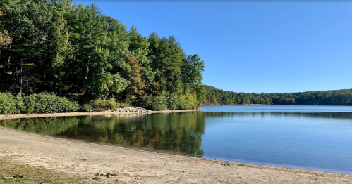 Wide view of the calm blue water and sandy beach at Walden Pond, a historic hiking destination in Massachusetts.