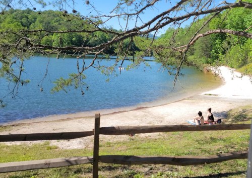 Two people sit on a sandy beach by a calm lake, surrounded by trees and a clear blue sky.