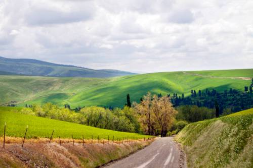 A winding dirt road through lush green hills under a cloudy sky, with trees lining the path.