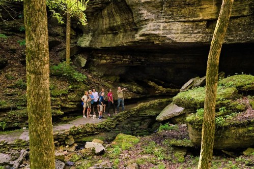 A group of hikers stands near a rocky cave in a lush, green forest, surrounded by trees and moss-covered stones.