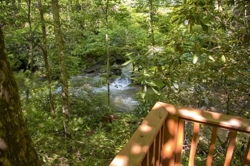 A serene forest scene with a small stream flowing through lush greenery, viewed from a wooden deck.