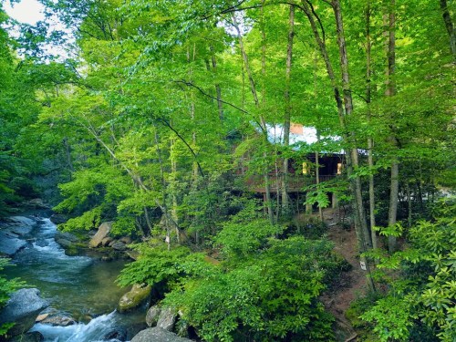 A serene forest scene with a cabin beside a flowing stream, surrounded by lush green trees and rocks.