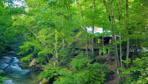 A serene forest scene with a cabin nestled among lush green trees beside a flowing stream.