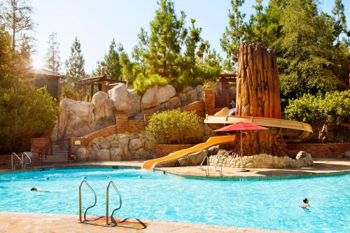 A sunny pool area featuring a water slide, surrounded by trees and rocky landscaping, with people swimming.