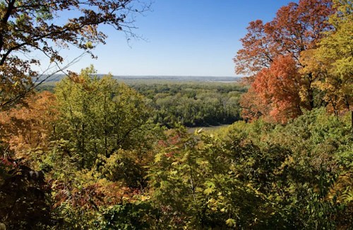 A scenic view of a lush landscape with vibrant autumn foliage under a clear blue sky.