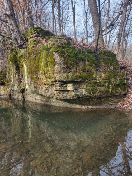 A moss-covered rock formation beside a calm, reflective body of water, surrounded by trees in a serene landscape.
