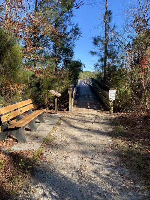 A wooden bridge leads into a wooded area, with a bench and sign nearby on a sunny day.