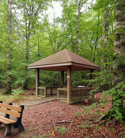 A wooden gazebo surrounded by trees in a forest, with benches nearby and leaves covering the ground.