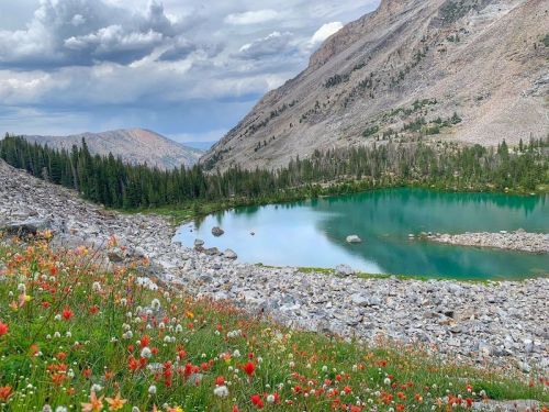 A serene mountain lake surrounded by rocky terrain and vibrant wildflowers under a cloudy sky.